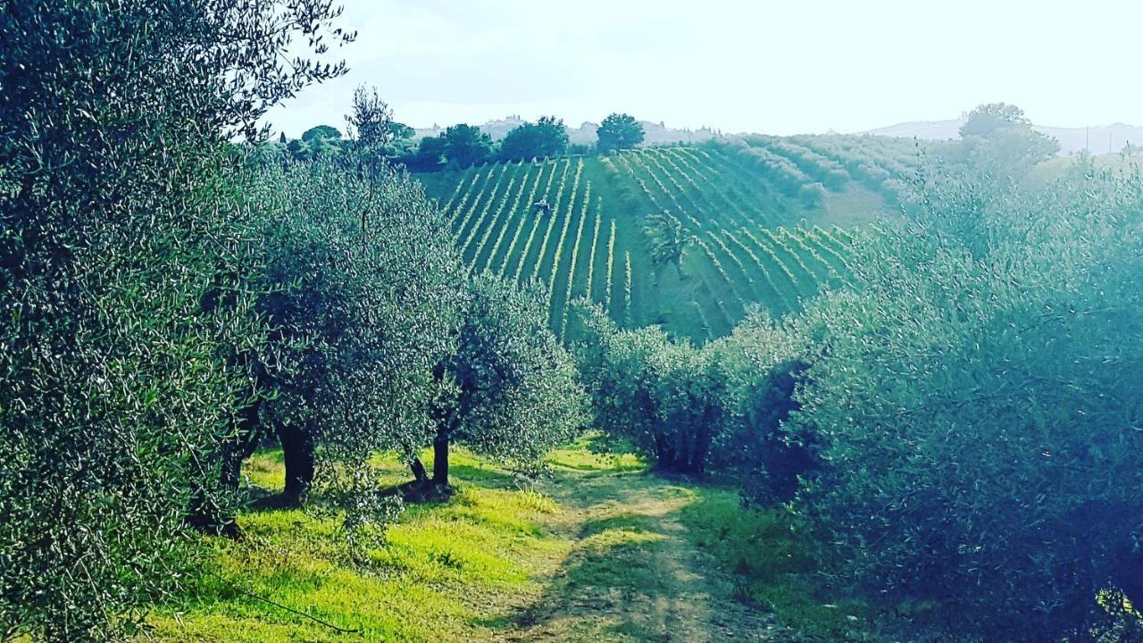 Agriturismo Sant'Ellero Сан-Кашіано-ін-Валь-ді-Пеза Екстер'єр фото